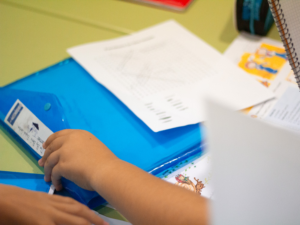 Apoyo escolar y repasos de asignaturas Apoyo escolar y repasos de asignaturas